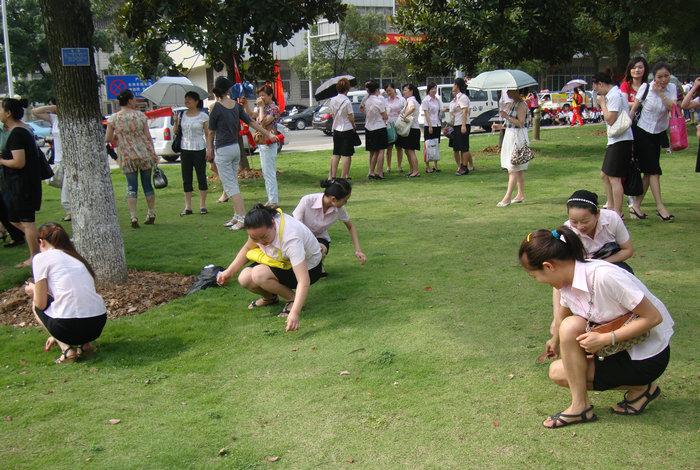 201062616737377.jpg
