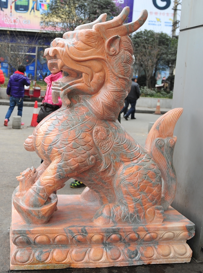 201218111718599.jpg