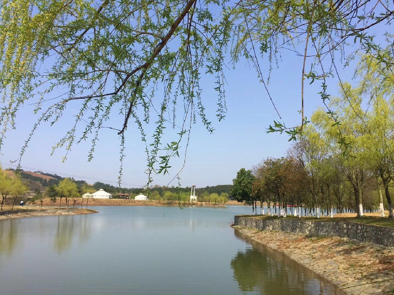 风景2.jpg